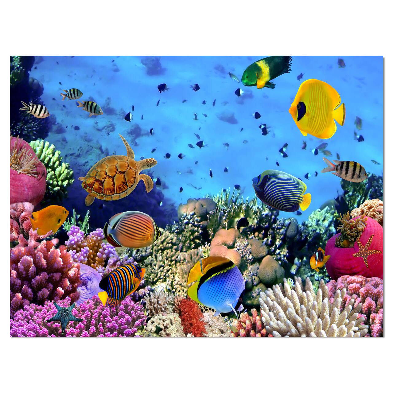 Designart - Coral Reef Coral Colony - Sea & Shore Nautical Photographic on wrapped Canvas